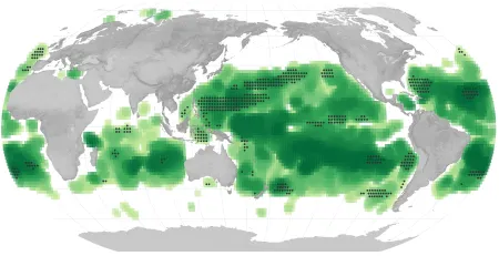 Oceány se vzpírají prognózám: NASA v šoku, mořská hladina stoupla v roce 2024 o 35 % rychleji než se čekalo. A 132 milionů lidí je v ohrožení víc, než tušili vědci