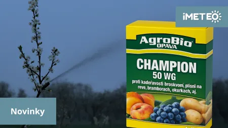 Jak ochránit stromy před mrazem? O víkendu dorazí ochlazení s rizikem přízemních mrazíků