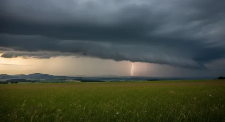 Žáby předpovídají bouřku? Jak zvířata čtou nebe a proč to někdy opravdu funguje