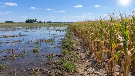 Záplavy střídá sucho na jednom poli. Američtí farmáři čelí výkyvům